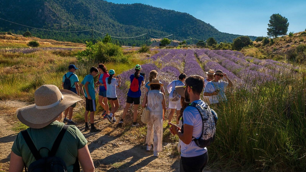 Rutassensorialesentrelavandas