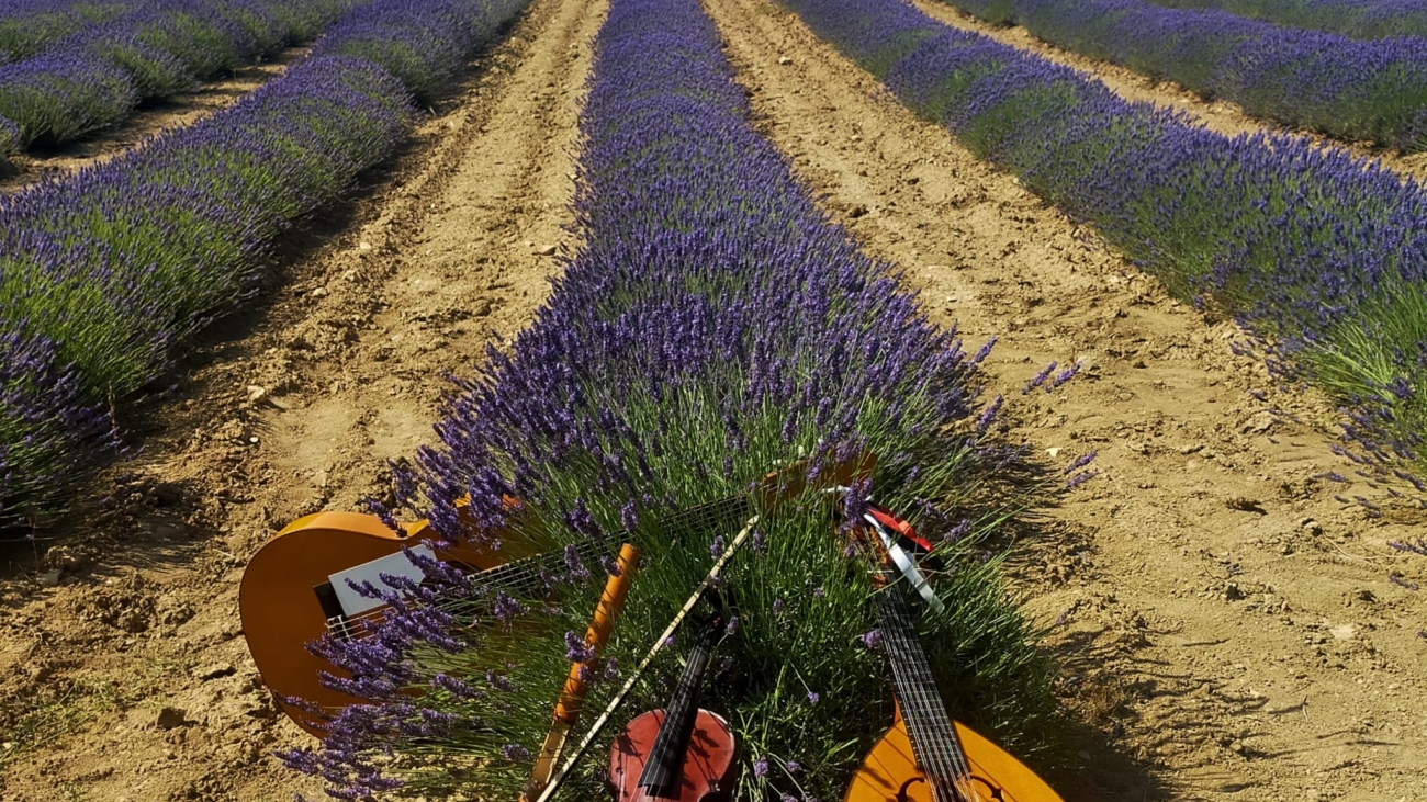 WhatsApp Image 2026-01-19 at 20.05.00