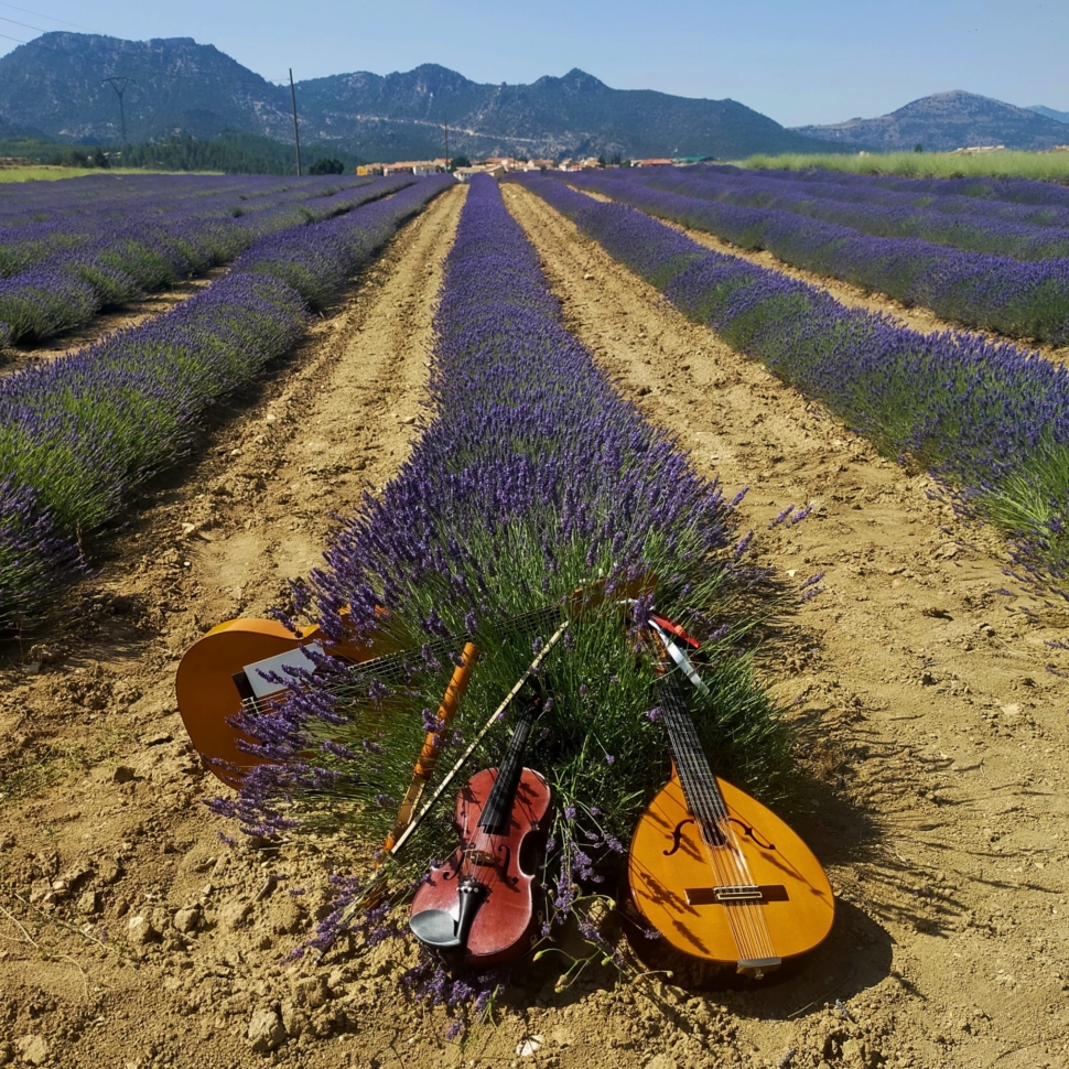 WhatsApp Image 2026-01-19 at 20.05.00