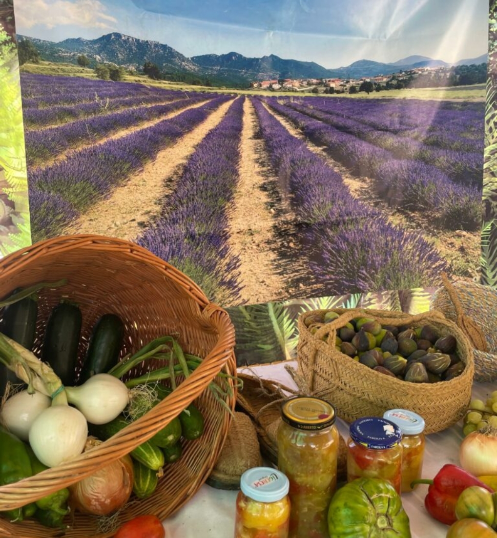 FeriadeltomateMoratalla-768x1024