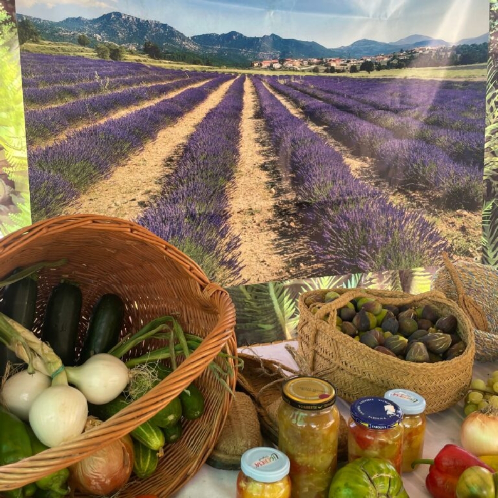 FeriadeltomateMoratalla-768x1024